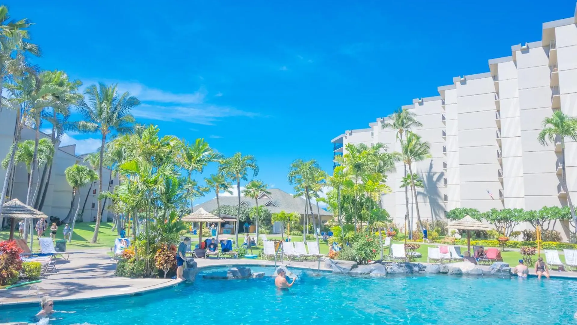 Apartment Maui Westside Presents: Kaanapali Shores 733 Stunning Ocean Views New Listing Lahaina United States