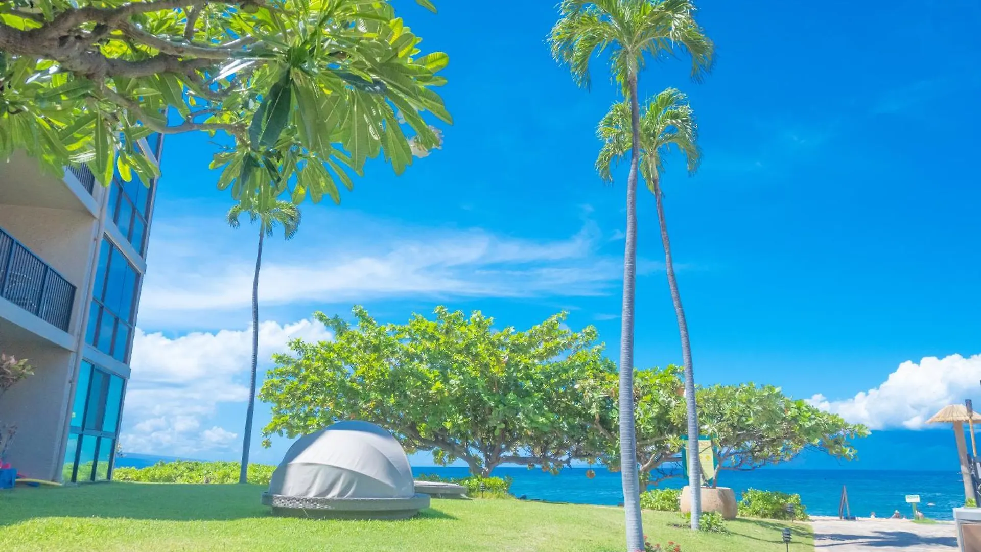 Maui Westside Presents: Kaanapali Shores 733 Stunning Ocean Views New Listing Lahaina